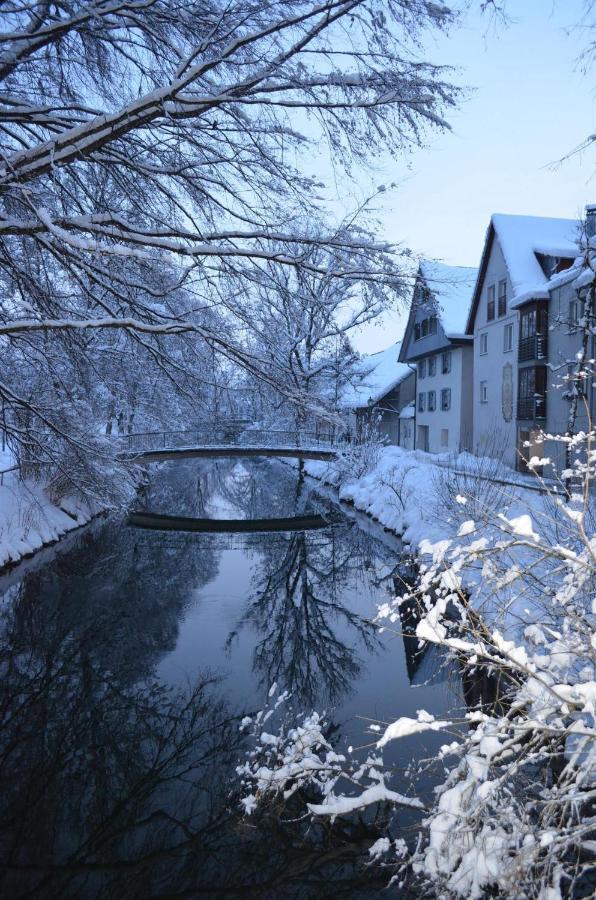 Ferienwohnung Gammer Wangen im Allgaeu Luaran gambar